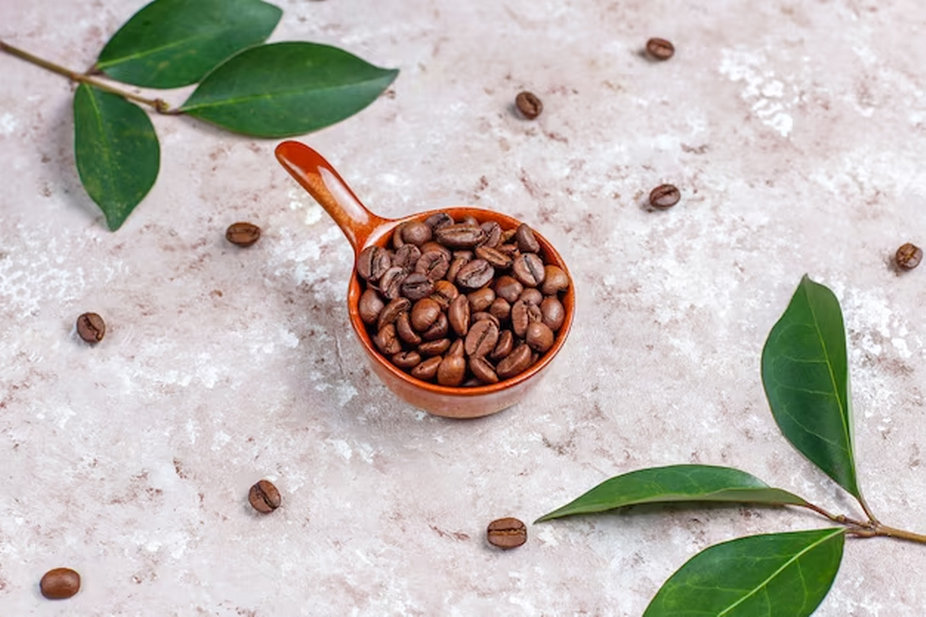 Coffee bean on a scoop