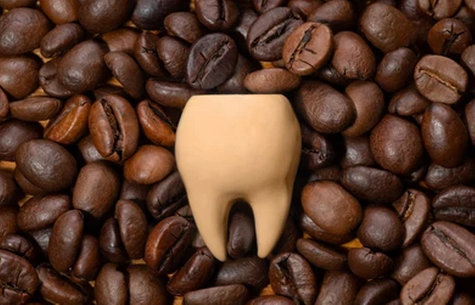 Tooth model resting on coffee grounds